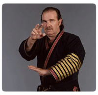 Grandmaster Fred Villari